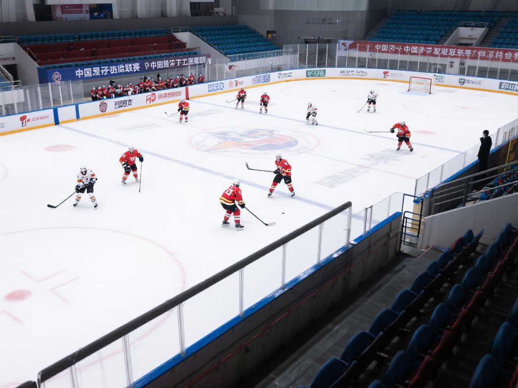 尽管发展势头良好，但中国男子冰球职业联赛